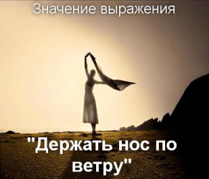 Держать нос по ветру