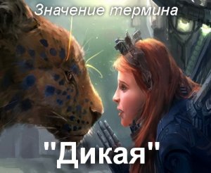 Дикая, Дикий