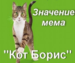 Кот Борис мем