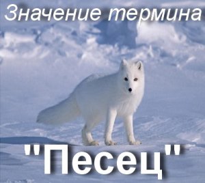 Пипец, Пздц