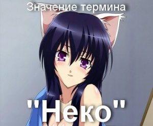 Нэко, Нека