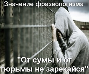 От сумы и от тюрьмы не зарекайся