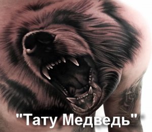 Тату Медведь