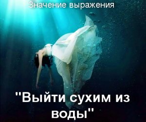 Выйти сухим из воды